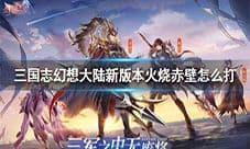 三国志幻想大陆火烧赤壁队教学 新版火烧队阵容搭配