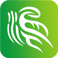 金温江app