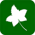 爬山虎灵活用工app