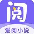爱阅小说app最新版