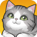 养了个猫