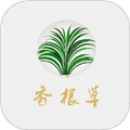香根草官方版