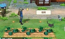 小森生活猫碗怎么获得 猫碗放不了解决方法介绍