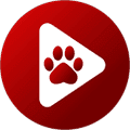 Bear Player播放器手机版