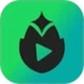 芦笋提词器app下载_芦笋提词器官方版下载 v4.4.0安卓版