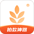 我拍衣