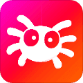 蜘蛛网旅行app