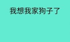 还有这种骚操作第21关怎么过 第二十二关图文攻略