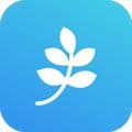 百词晨读美文app