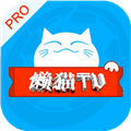 懒猫影仓TV版
