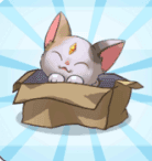 萌猫