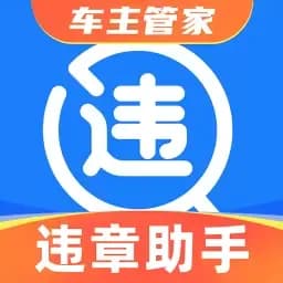 实时违章查询