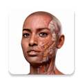 completeanatomy中文版
