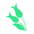 薏米医生APP