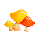 蘑菇看资讯