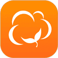 棉花IN app