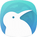KiwiBrowser官方版