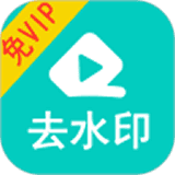 视频大师去水印