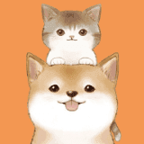 猫狗翻译通
