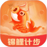 锦鲤计步