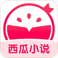 西瓜小说app