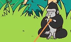 荒岛大胃王第四关怎么过 过关方法攻略一览