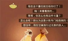 光遇周年庆小精灵任务怎么做 任务完成攻略分享