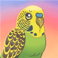 birdkind最新版下载_BirdKind下载 v1.69安卓版