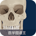 医学图谱王app官方正版