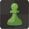 国际象棋大师下载最新版_国际象棋大师手机版下载 v4.9.46-googleplay安卓版