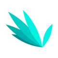 指尖文学app