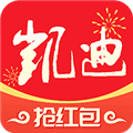 凯迪网