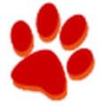 就找大猫app