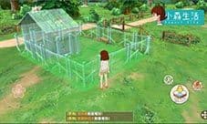 小森生活贵族猫怎么玩 贵族猫玩法技巧介绍