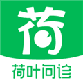 荷叶问诊app免费版