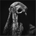 SARCOPH破解版下载_SARCOPH去广告版下载 v2.52最新版